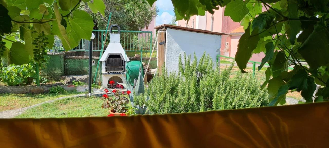 Apartmani Centar Seline Paklenica מראה חיצוני תמונה